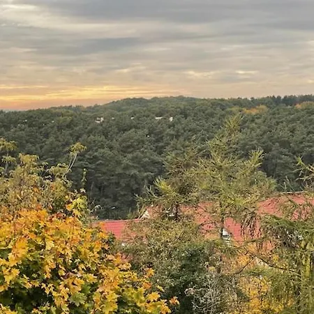 Séjour chez l'habitant View *
